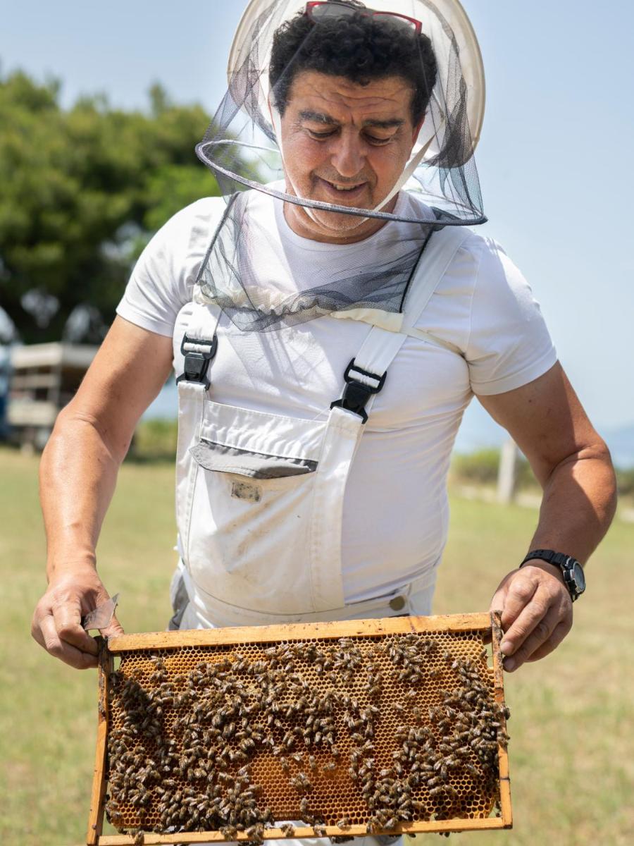 Avaton Luxury Beach Resort - Relais & Chateaux