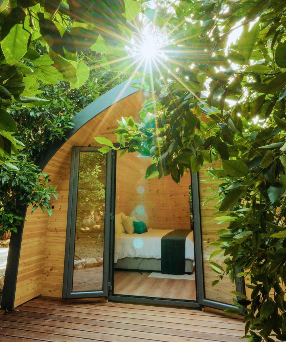 Secret Forest - Wellness Retreat & Healing Spa