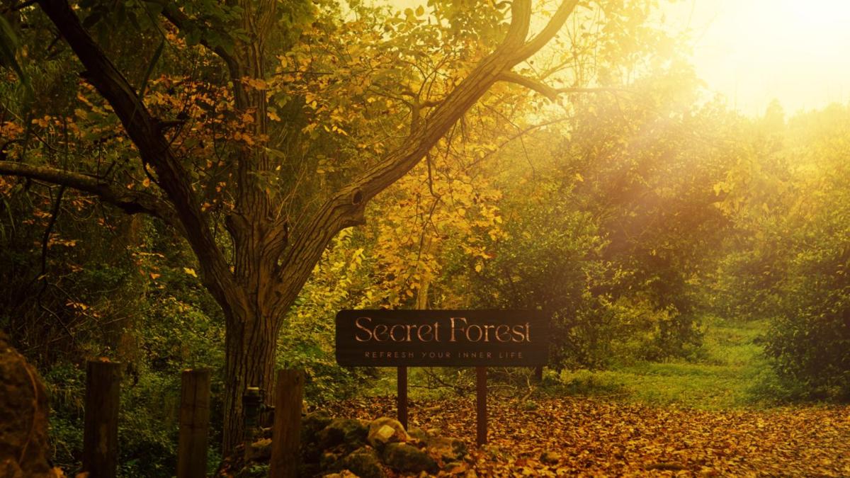 Secret Forest - Wellness Retreat & Healing Spa