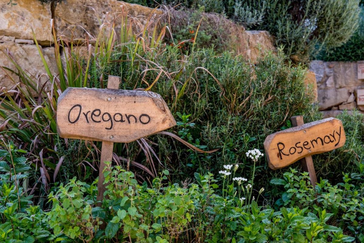 Secret Forest - Wellness Retreat & Healing Spa