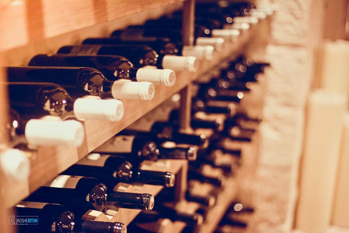 Secret Forest - Wellness Retreat & Healing Spa