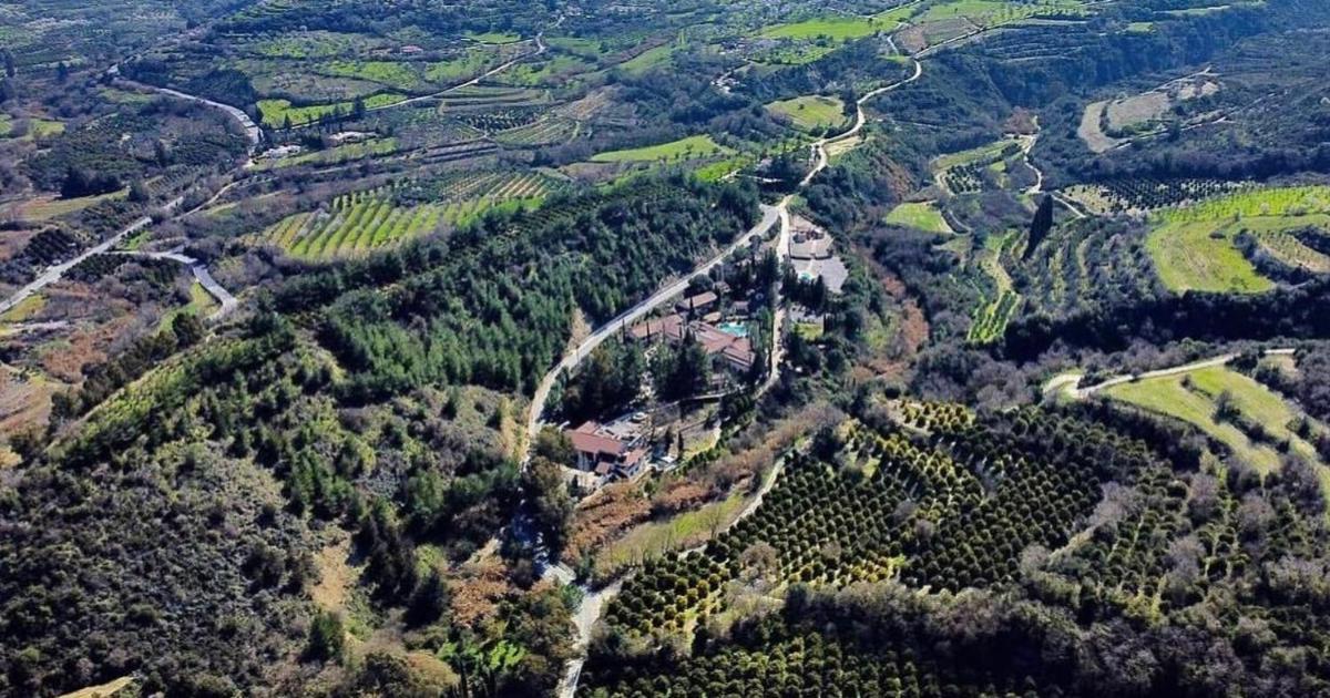 Secret Forest - Wellness Retreat & Healing Spa