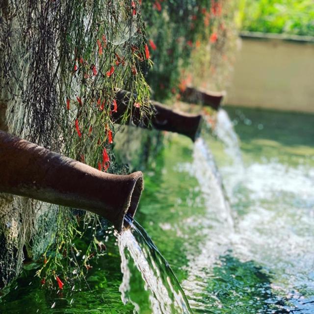 Secret Forest - Wellness Retreat & Healing Spa