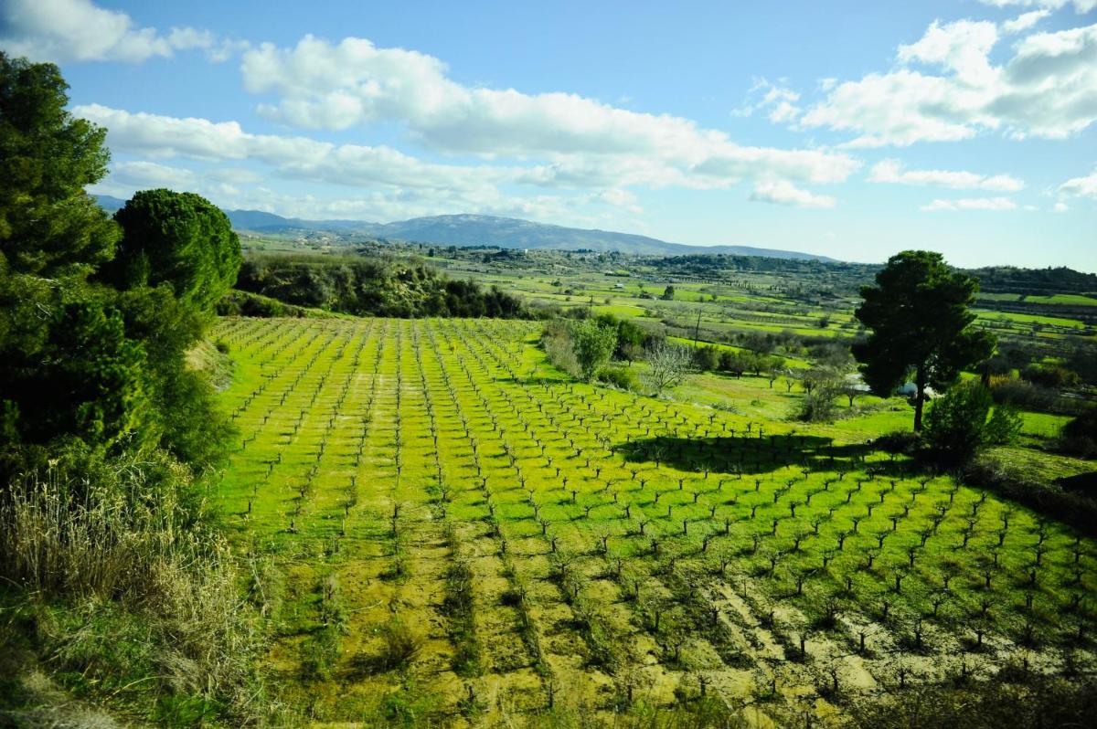 Secret Forest - Wellness Retreat & Healing Spa