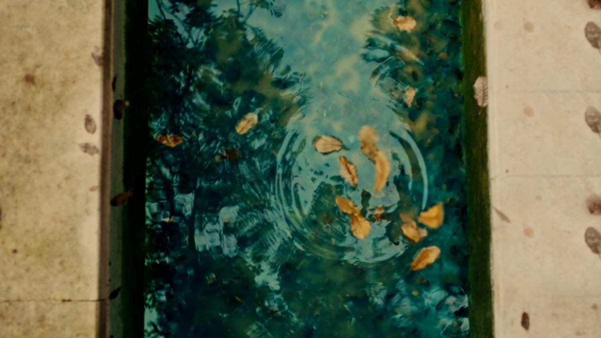 Secret Forest - Wellness Retreat & Healing Spa