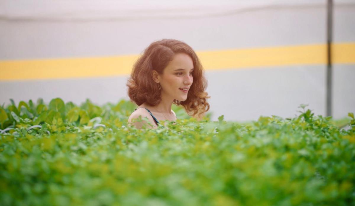 Secret Forest - Wellness Retreat & Healing Spa