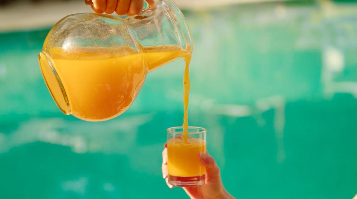 Secret Forest - Wellness Retreat & Healing Spa