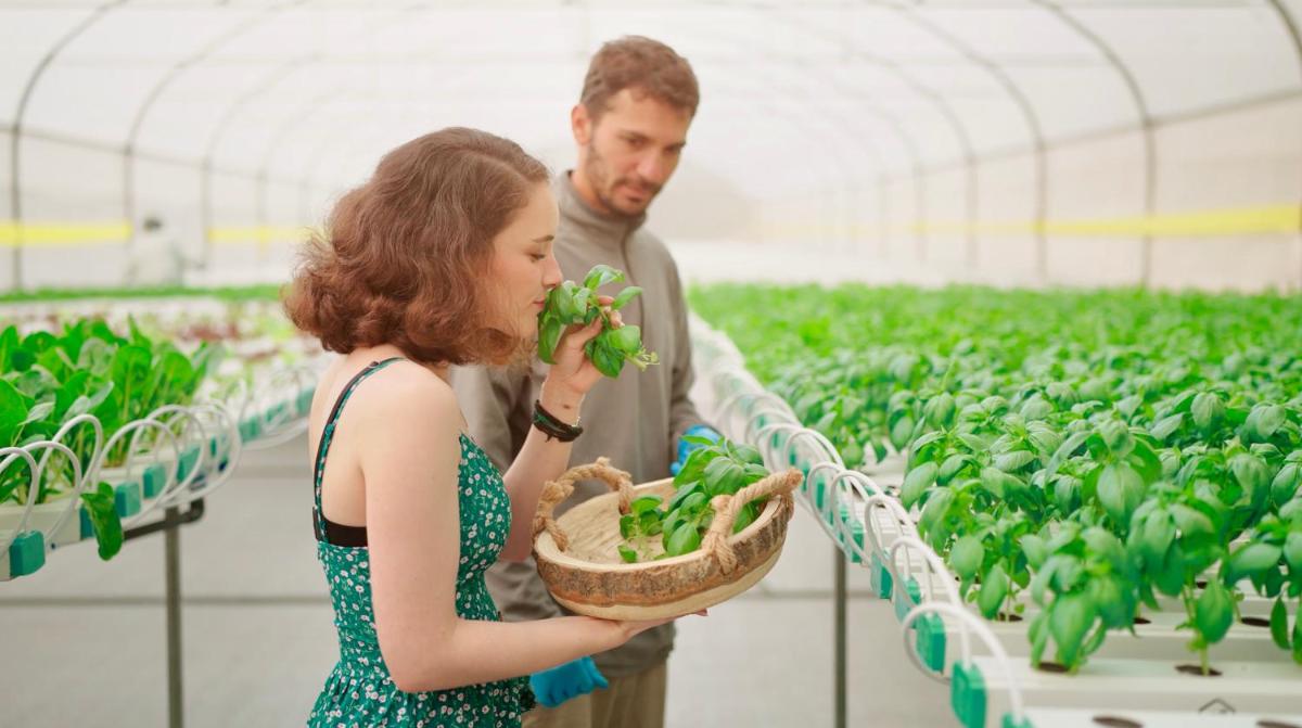 Secret Forest - Wellness Retreat & Healing Spa