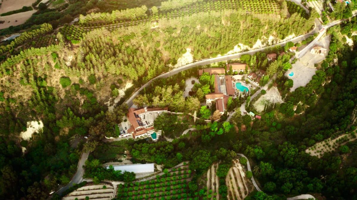 Secret Forest - Wellness Retreat & Healing Spa