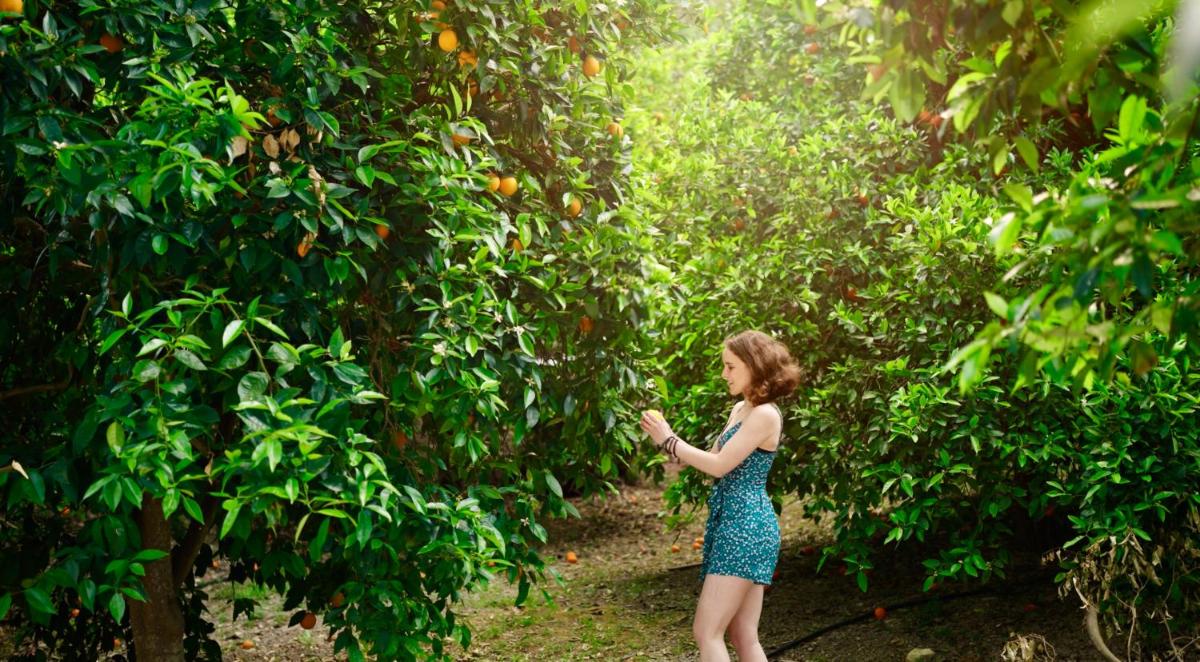 Secret Forest - Wellness Retreat & Healing Spa