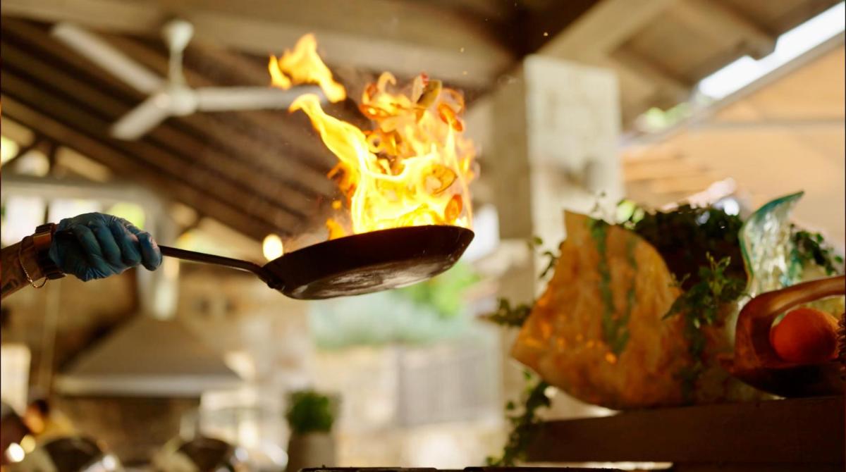 Secret Forest - Wellness Retreat & Healing Spa