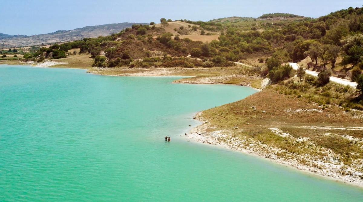 Secret Forest - Wellness Retreat & Healing Spa