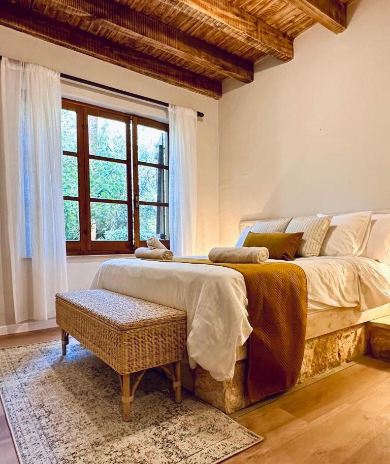 Secret Forest - Wellness Retreat & Healing Spa