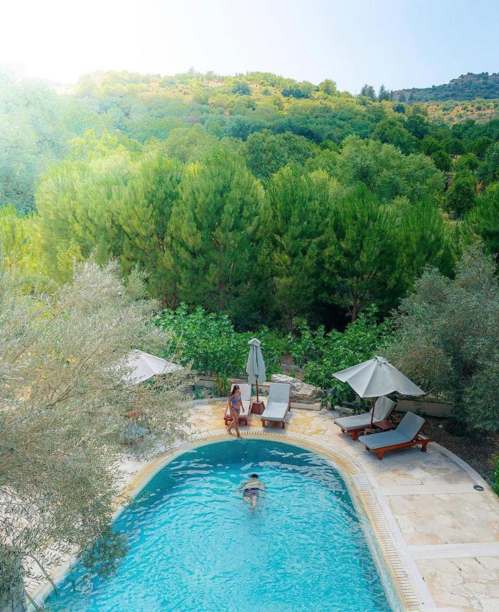 Secret Forest - Wellness Retreat & Healing Spa