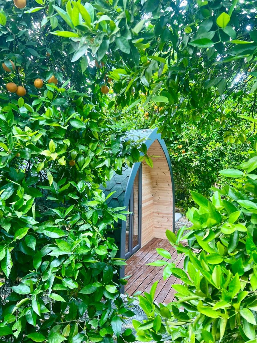 Secret Forest - Wellness Retreat & Healing Spa