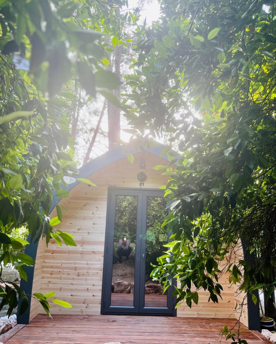 Secret Forest - Wellness Retreat & Healing Spa