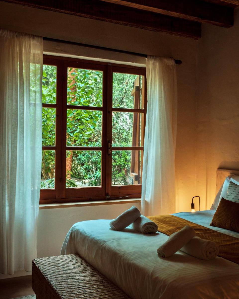 Secret Forest - Wellness Retreat & Healing Spa