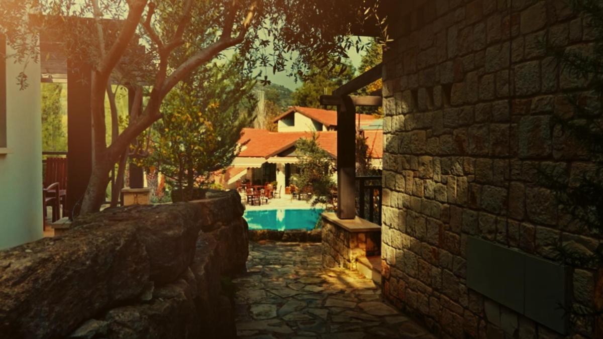 Secret Forest - Wellness Retreat & Healing Spa