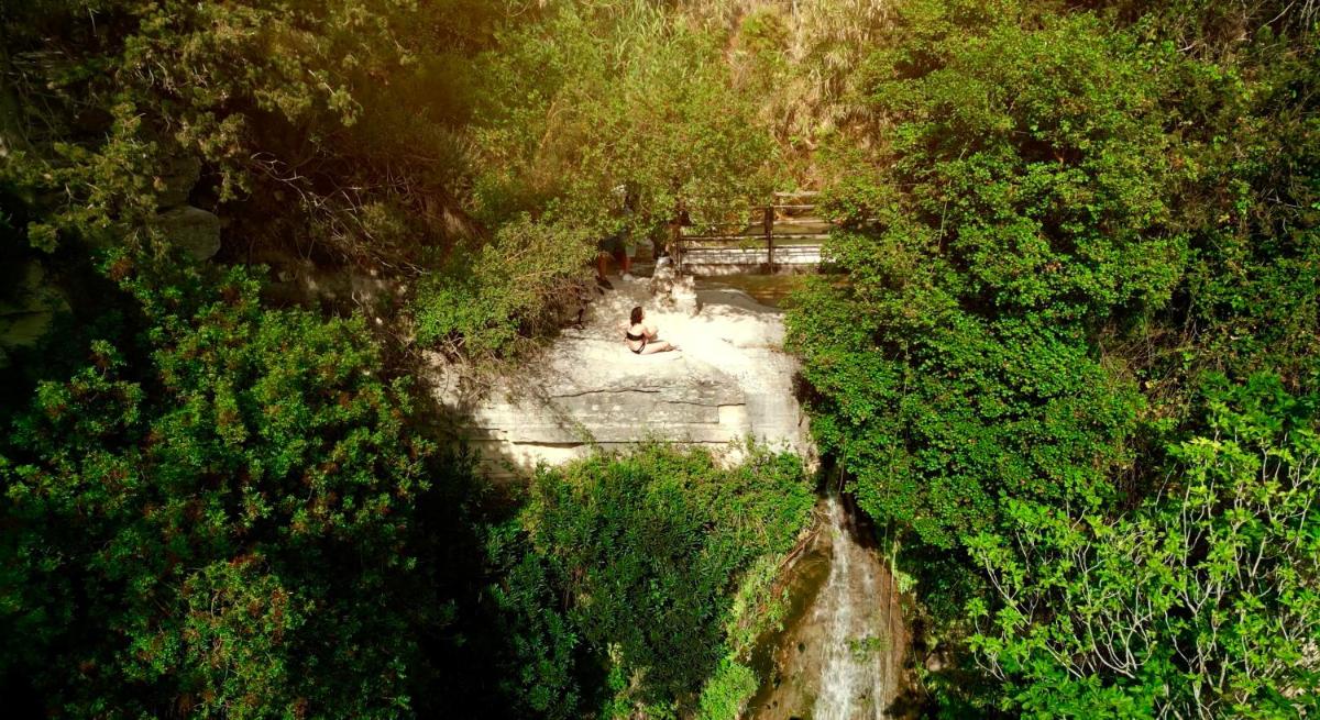 Secret Forest - Wellness Retreat & Healing Spa