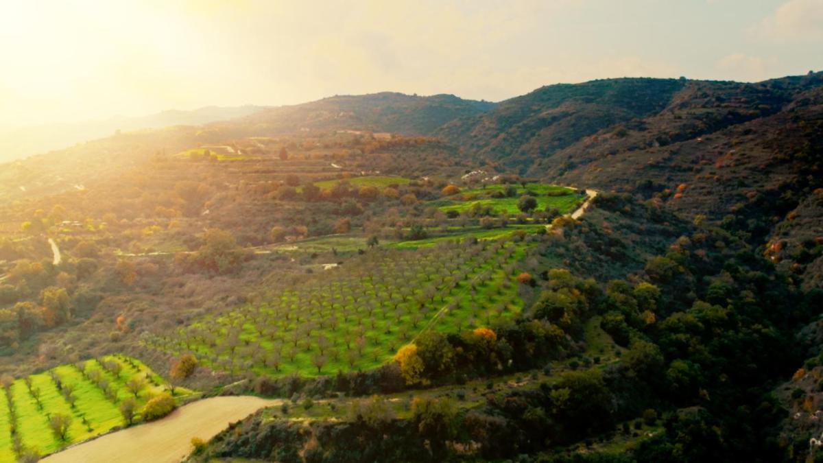 Secret Forest - Wellness Retreat & Healing Spa