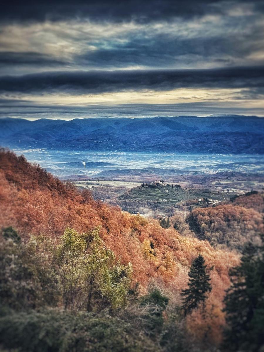 Badia a Coltibuono Wine Resort