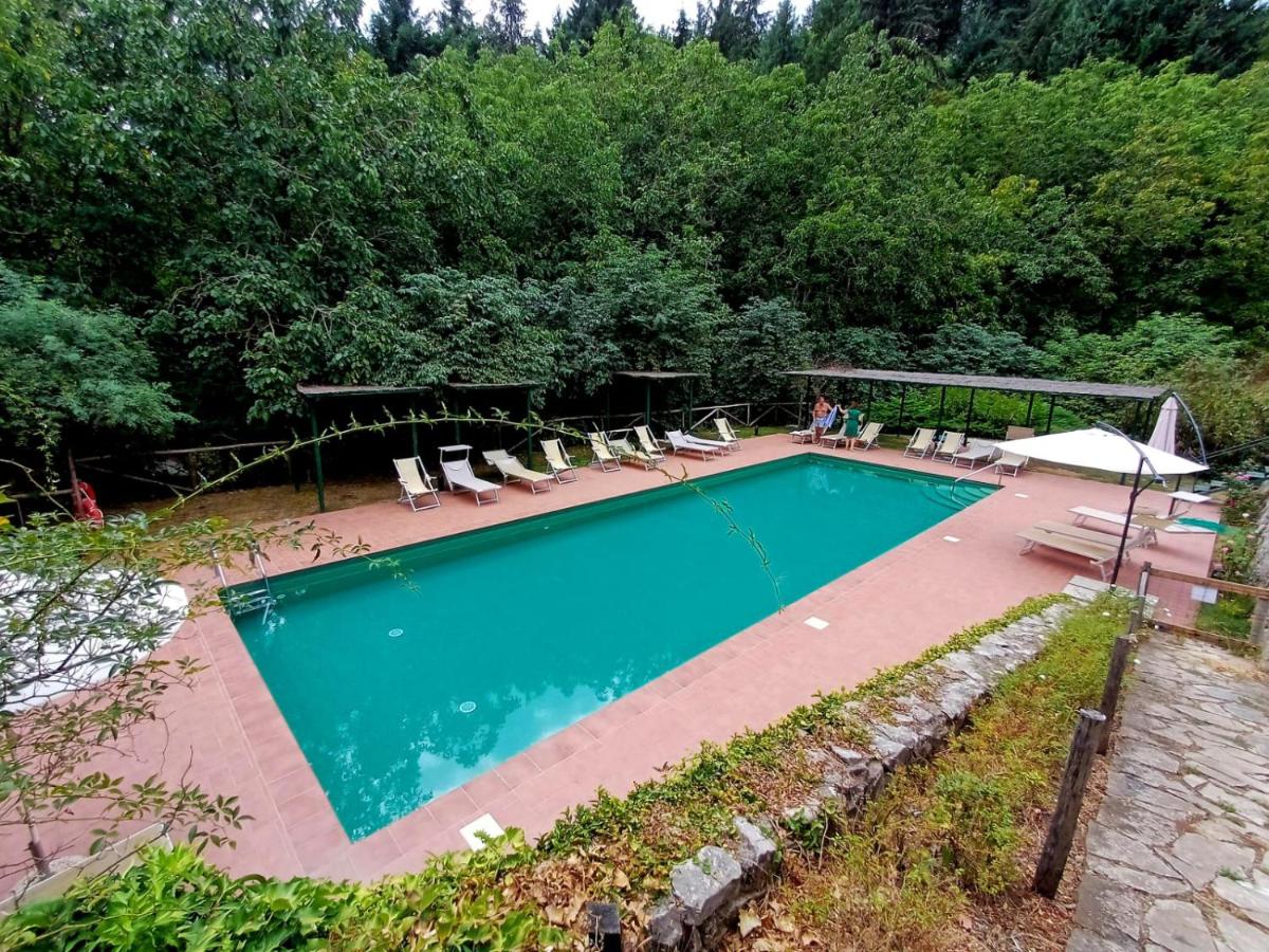 Badia a Coltibuono Wine Resort