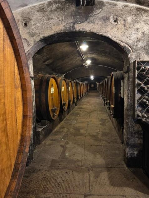 Badia a Coltibuono Wine Resort