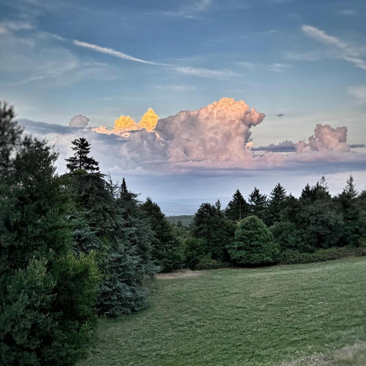 Badia a Coltibuono Wine Resort