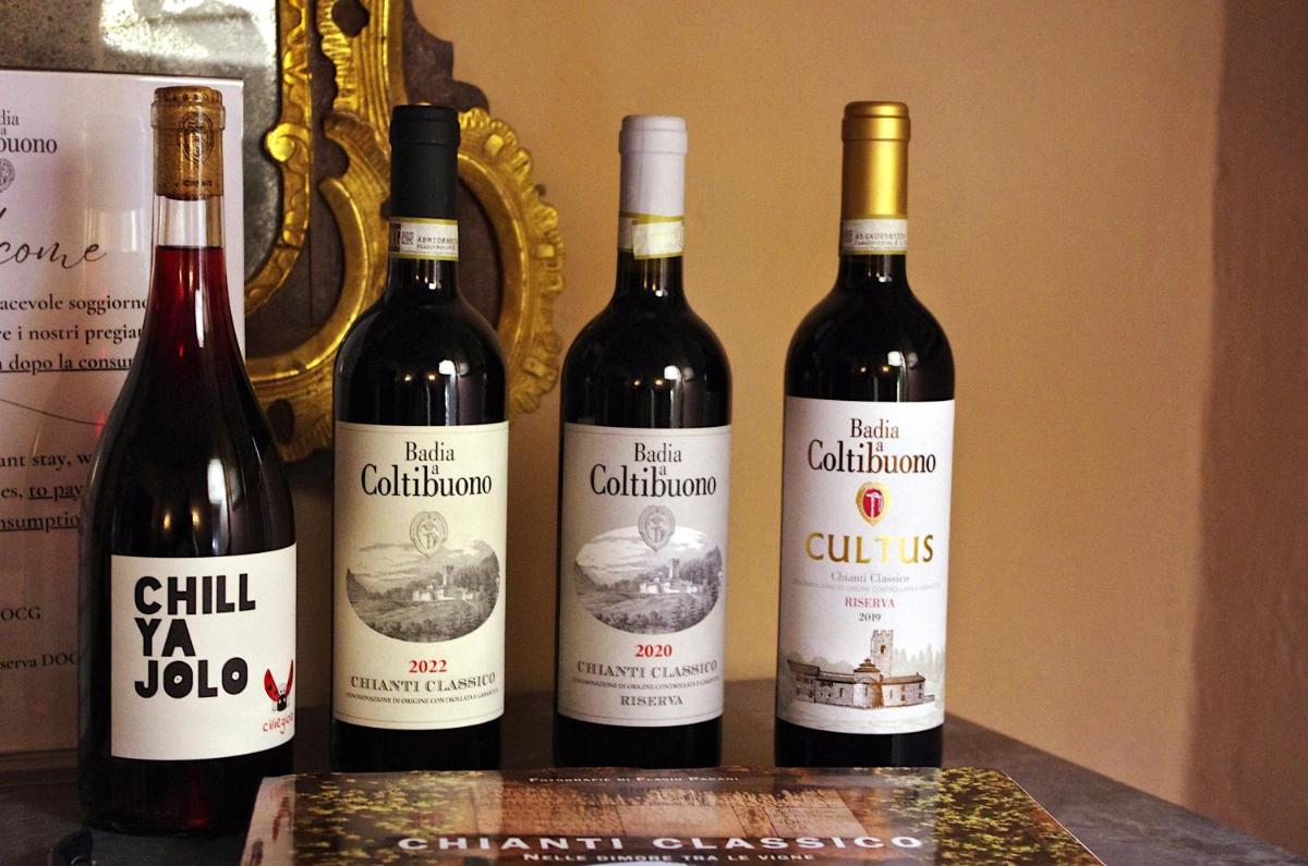 Badia a Coltibuono Wine Resort