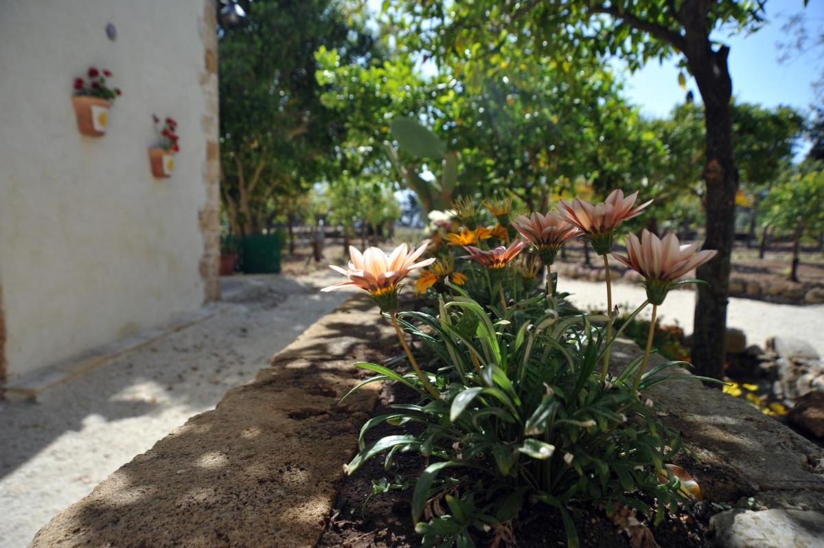 Baglio Siciliamo Country House