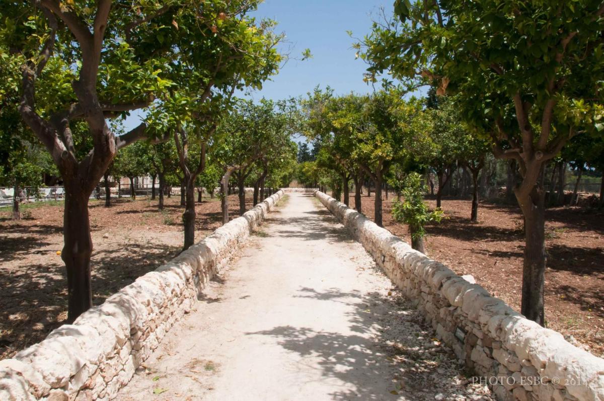 Baglio Siciliamo Country House