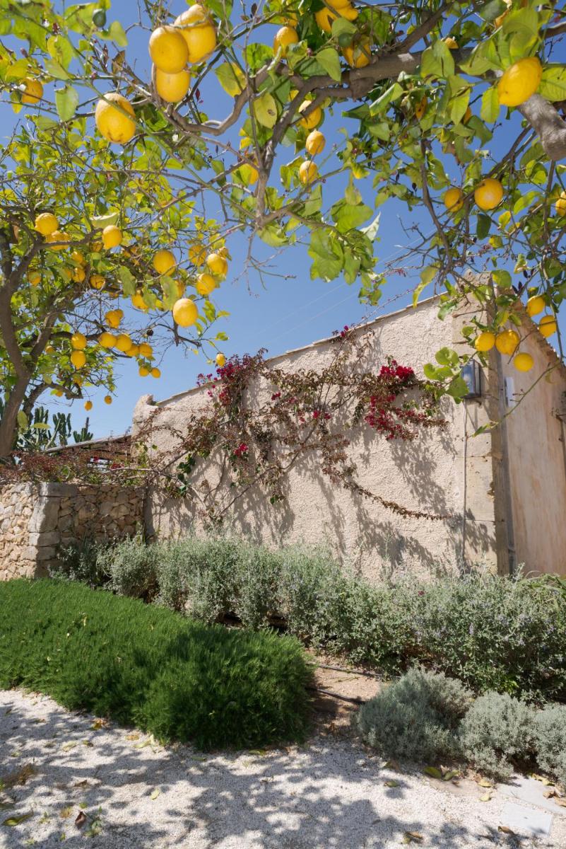 Baglio Siciliamo Country House