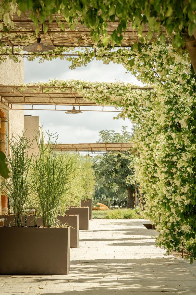 Baglio Siciliamo Country House