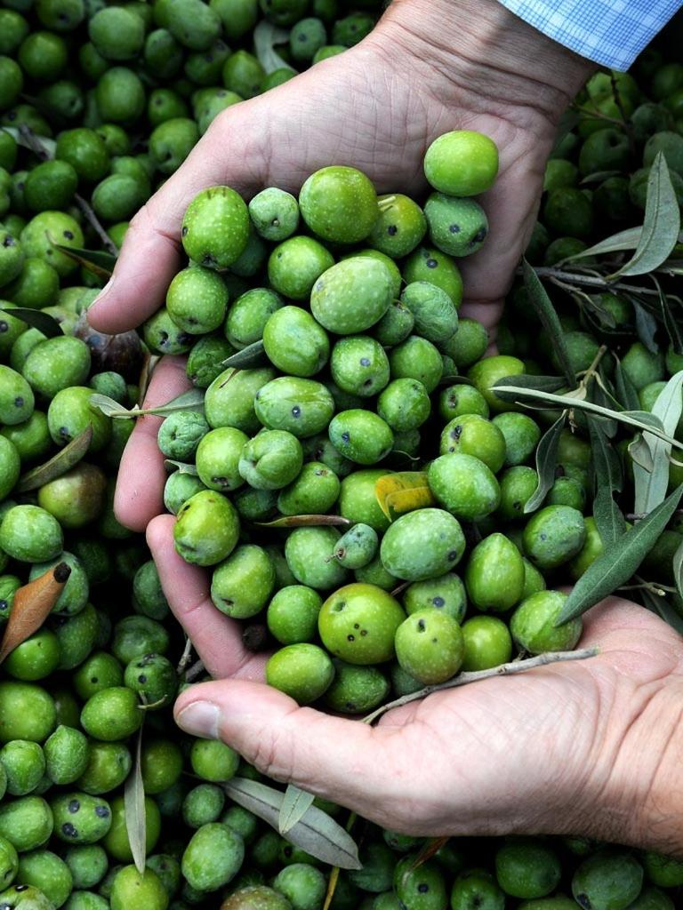 Baglio Villa Sicilia