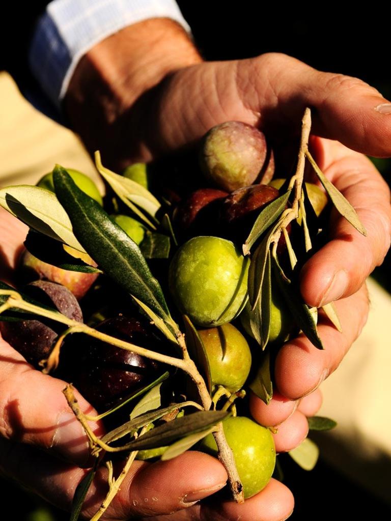 Baglio Villa Sicilia