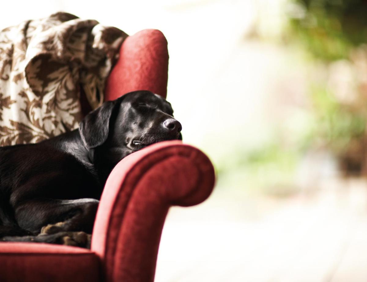 Ballathie House Hotel