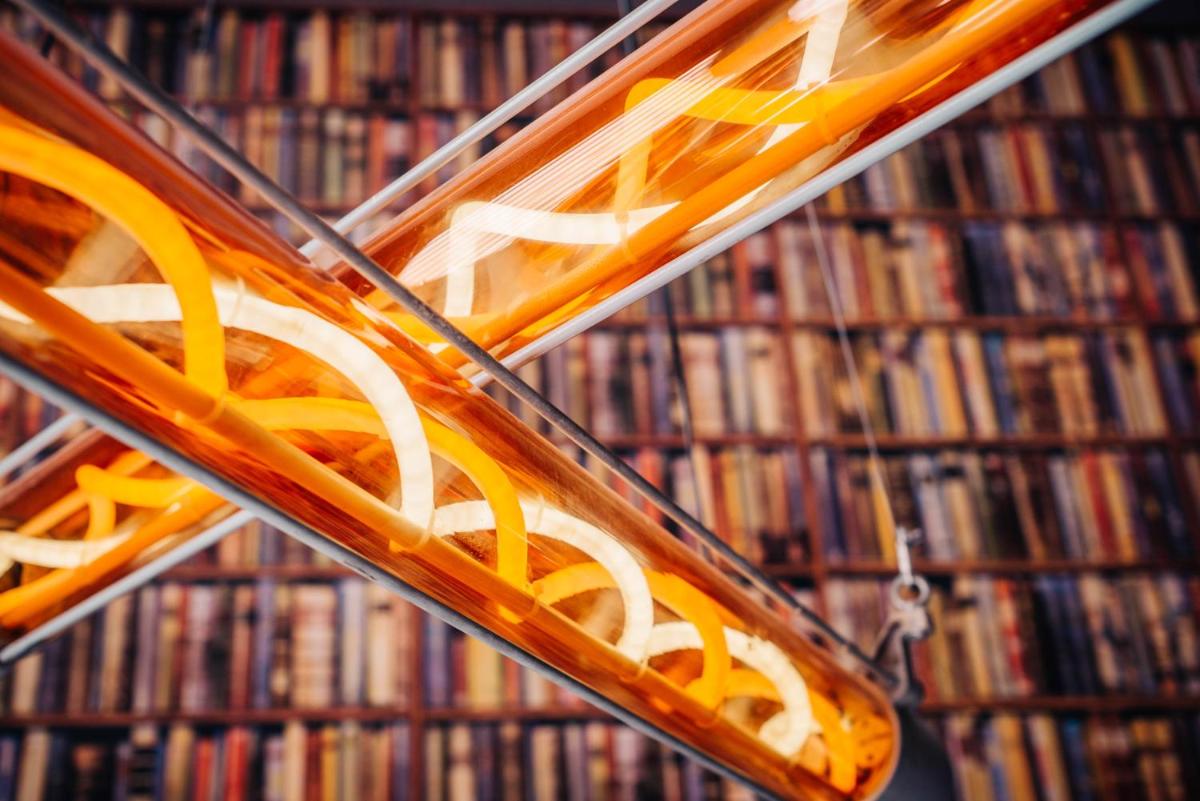 BALTAZÁR Boutique Hotel