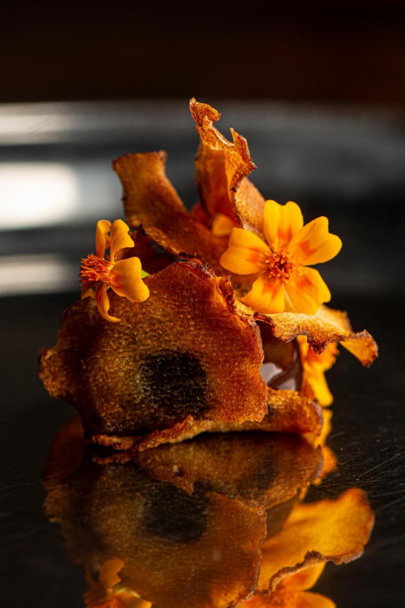 Balthazar Design Hotel