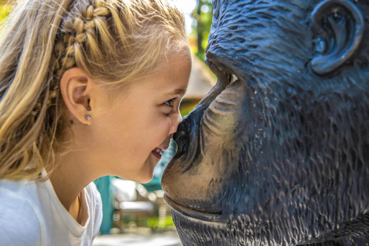 Bambara Hotel