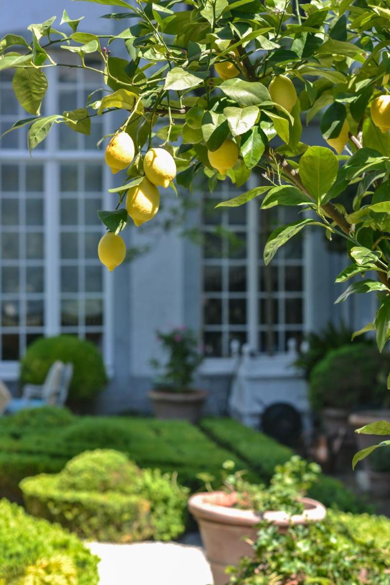 B&B The Verhaegen
