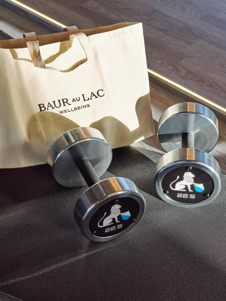Baur au Lac