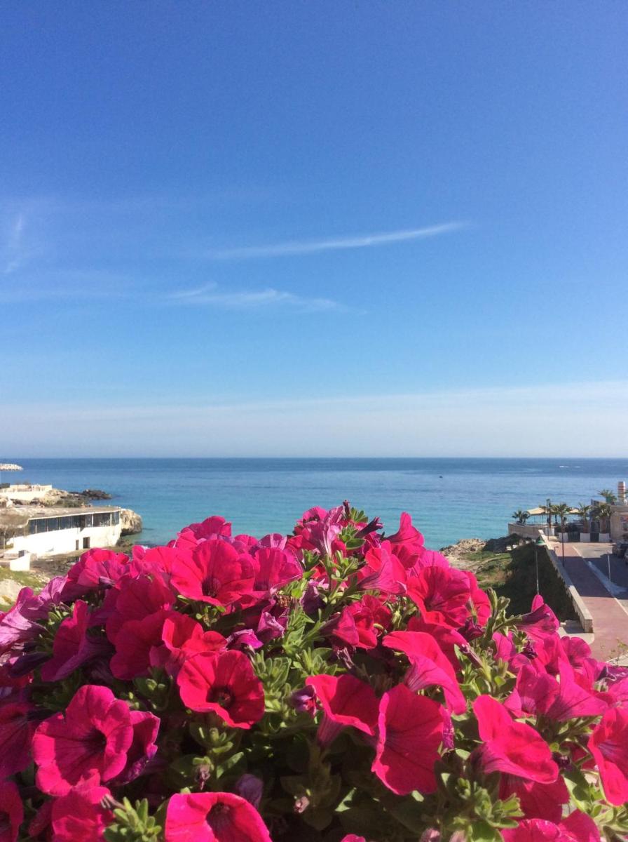 Bellariva Monopoli B&B e Relax