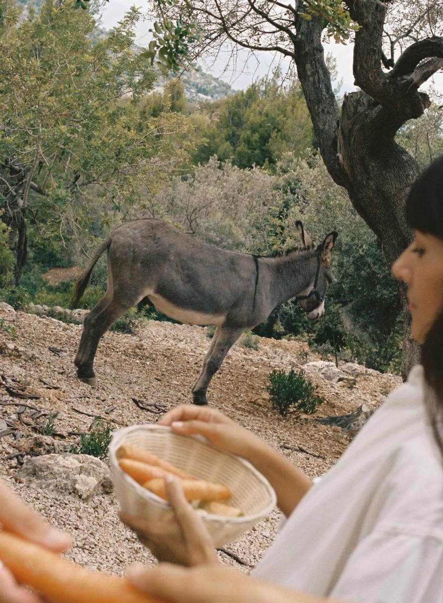 La Residencia, A Belmond Hotel, Mallorca