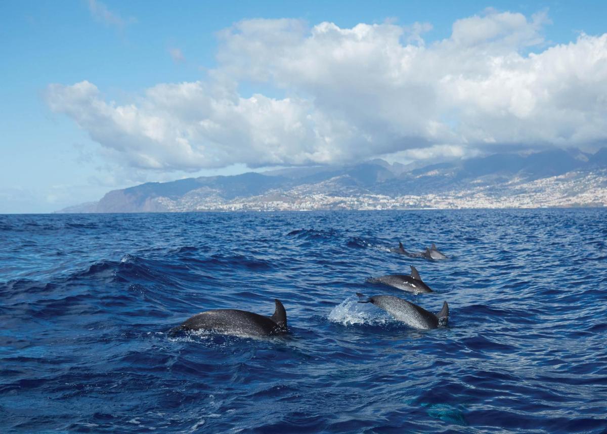 Reid's Palace, A Belmond Hotel, Madeira