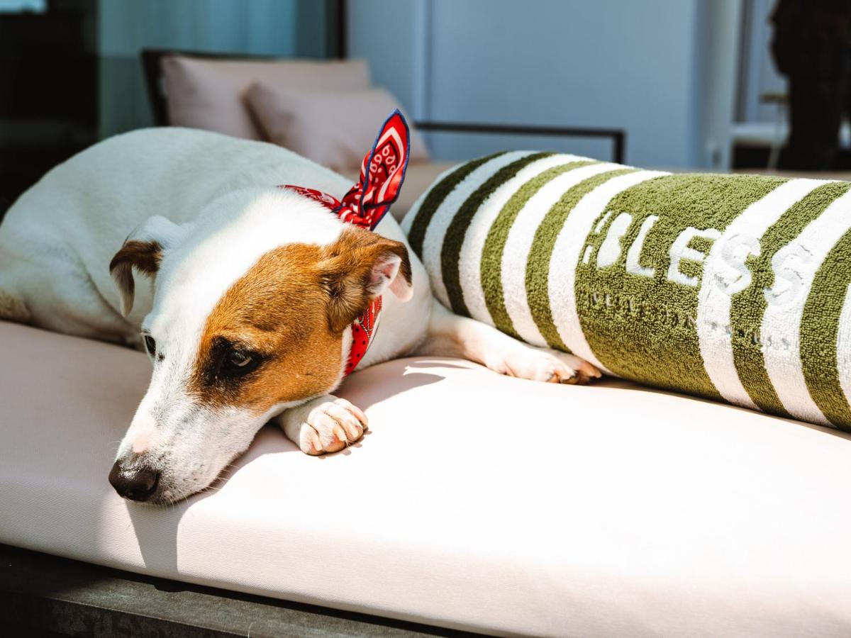 BLESS Hotel Ibiza - The Leading Hotels of The World