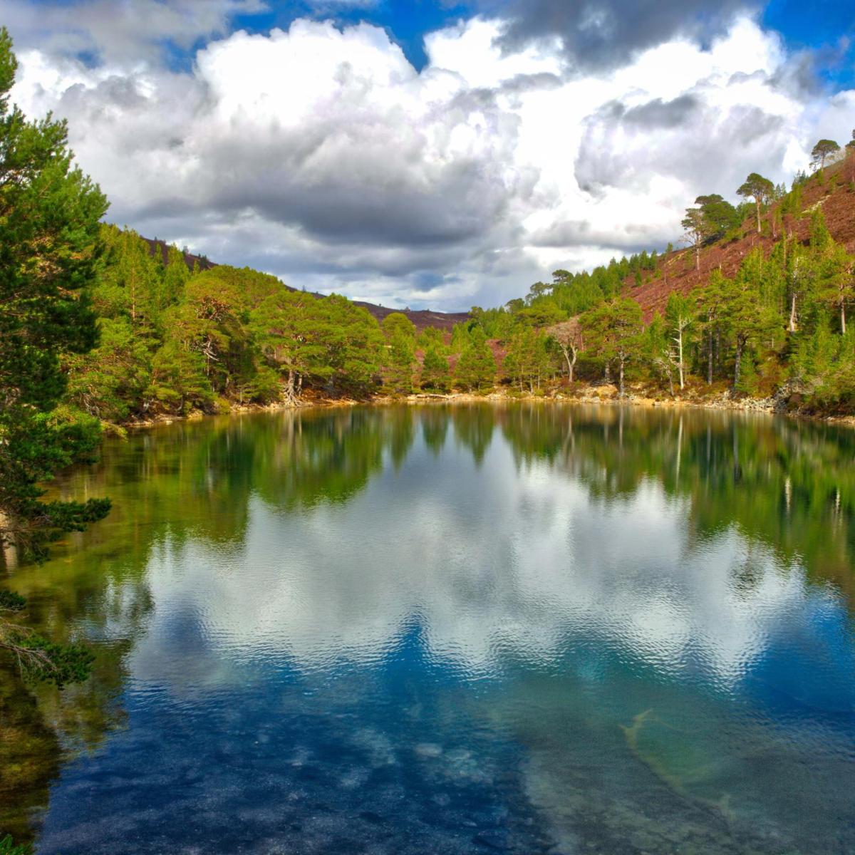 Boat Country Inn and Restaurant