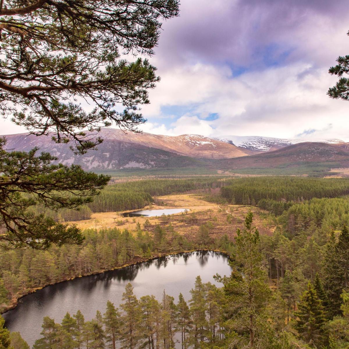 Boat Country Inn and Restaurant