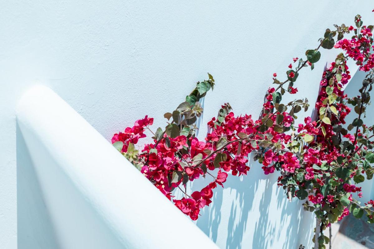 Bohemian Luxury Boutique Hotel, Adults Only