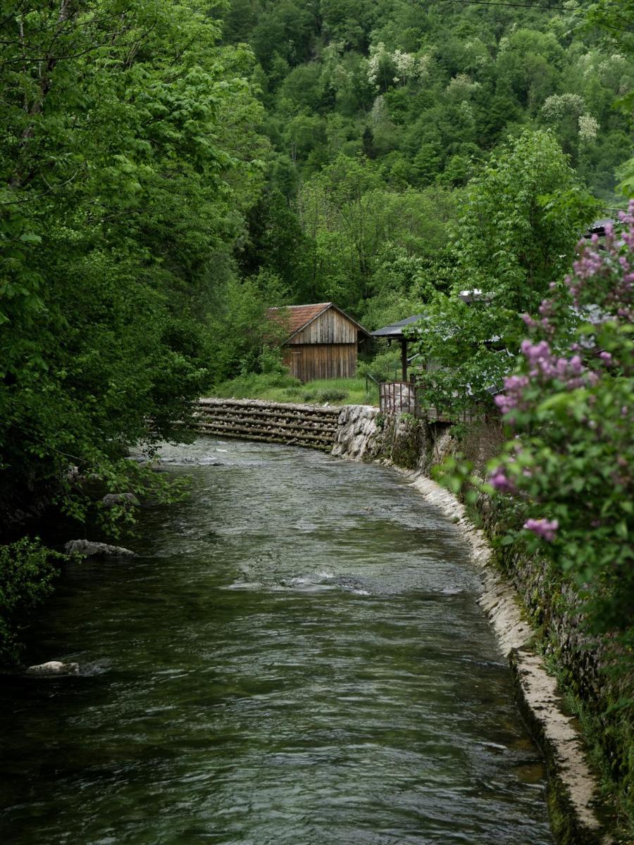 Bohinj River House Spa&Sport