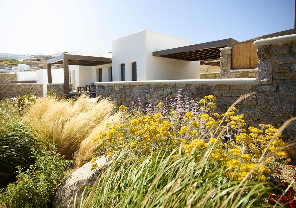Bonzoe Suites & Villas